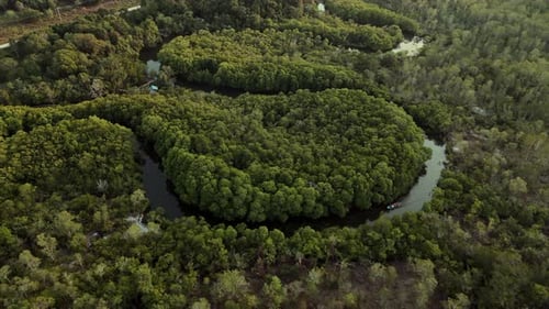 Aerial Perspective Of Boat Traversing River Surrounded By Mangroves