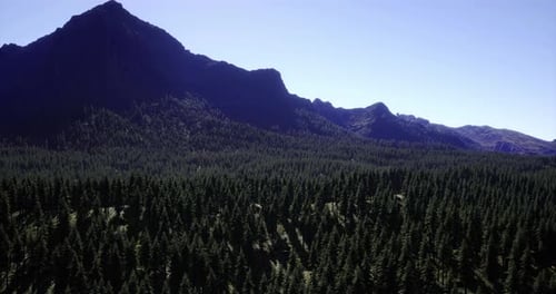 Majestic Mountains Rise Above a Lush Green Forest Under a Bright Blue Sky