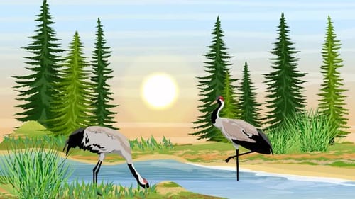 Rotkronenkraniche, die im Fluss im Kiefernwald stehen und fressen, Natur - Comic-Vögel - Tierwelt