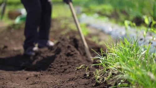 man plowing a field