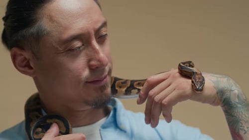 Portrait d'un homme multiethnique joyeux posant avec un python enroulé sur son cou
