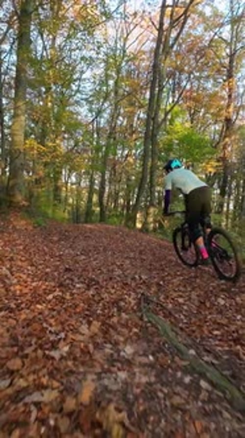 Cyclist Riding an Electric Mountain Bike Through a Lush Forest Trail on a Sunny Day