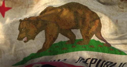 Waving Distressed California State Flag Animation