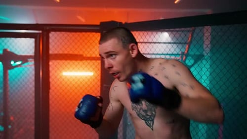 Lucha de luchadores en Mma Grid