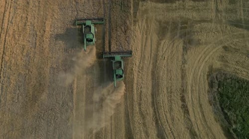 Harvesting Wheat Crops With Combine Harvester In The Field - Drone Shot
