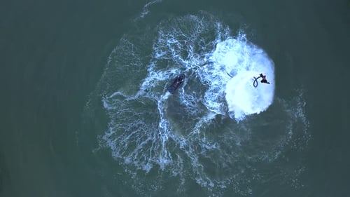 Aerial View Bold Woman Flyboarding in Twilight Glow