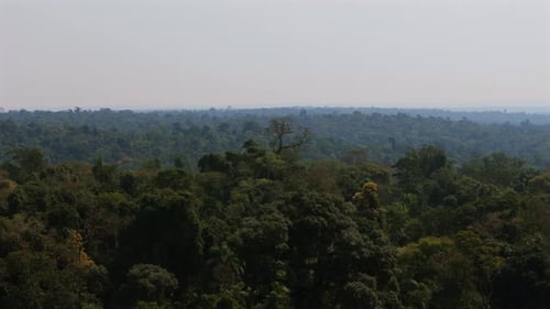 Distant aerial view showcasing a rich Amazon jungle expanse under a slightly cloudy sky.