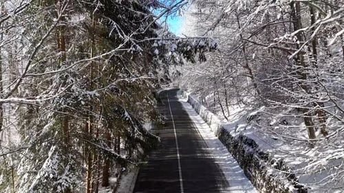 Route de
montagne asphaltée vide en hiver. Beau paysage d'hiver avec route de montagne parmi la neige