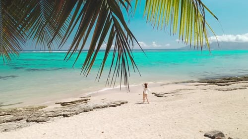 Young Woman Walking on Tropical Beach with Palm Tree and Turquoise Water