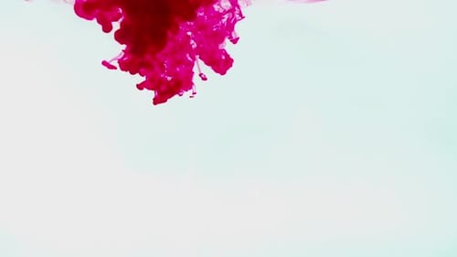 Vibrant Red Ink Dropping and Spreading in Fluid Abstract Motion