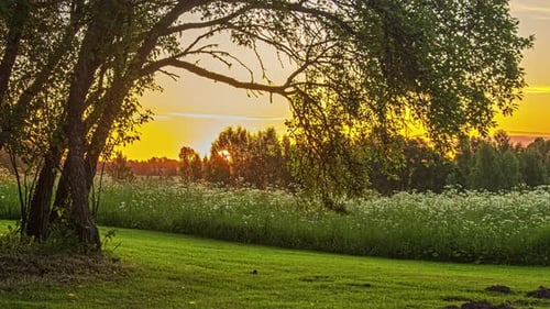 Early morning rural sunrise with growing crops bellow, time lapse