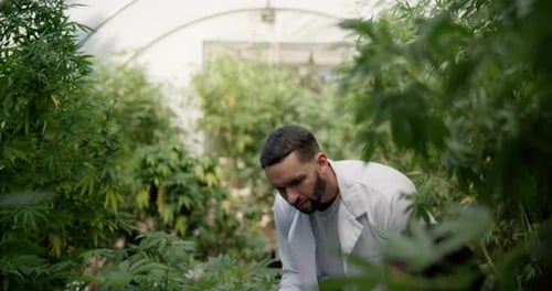 Greenhouse, discussion and biologist with tablet for plant research, agriculture