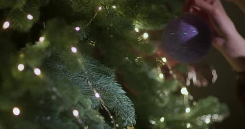 Hanging Glittery Ornament on Christmas Tree Branch
