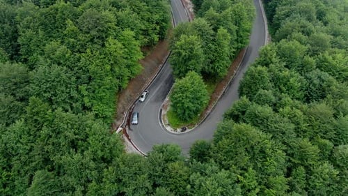 A winding road cuts through a dense forest Cars travel along the road surrounded by green trees The