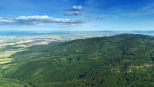 Panoramic aerial view of mountains and green forest.