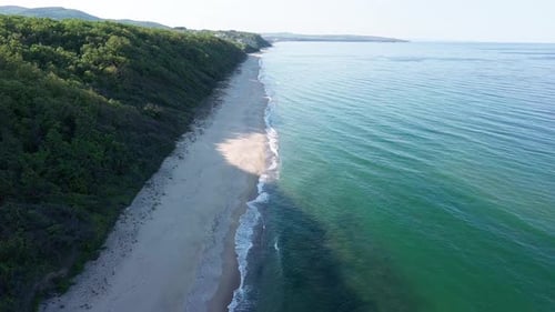 Beach Between a Ledge Covered with Vegetation and a Black Sea Under a Clear Blue Sky