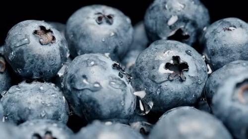 Fresh Blueberries with Water Droplets Close Up
