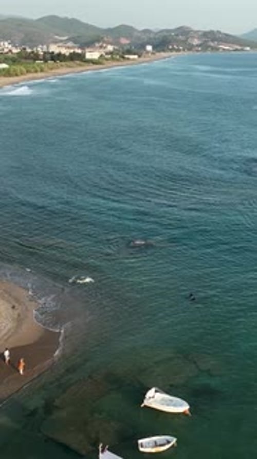 Vertical Video of Fishing Boats on the Seashore Aerial View