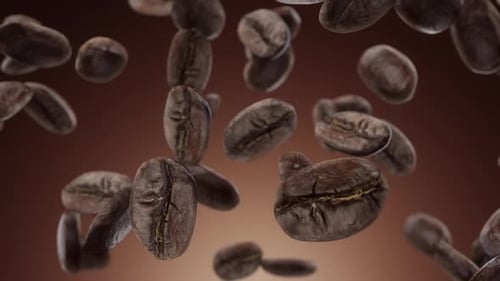 Falling Roasted Coffee Beans Background Loop Animation