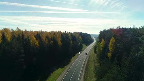 Road in the Autumn Forest