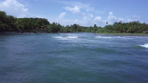 aerial shot of sea waves towards land and trees on sunny day 2
