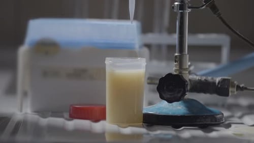 Vorbereitung von Laborreagenzgläsern im Labor