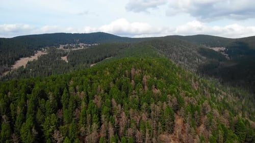 Evergreen Forest Covering Mountain Range Under Cloudy Sky Media