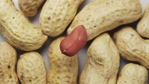 Rotating grain of peanuts, against the background of peanuts in shells. Close-up. View from above.