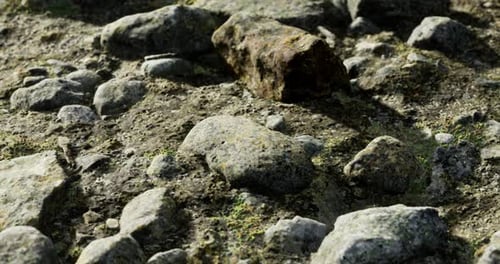 Rocky Ground with Diverse Stones and a Weathered Boulder in Sunlight