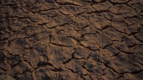 Canal Middle Agricultural Dry By Drought And Heatwave On Summer