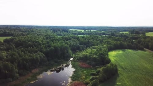 Natur des Sees Misnitsko 05