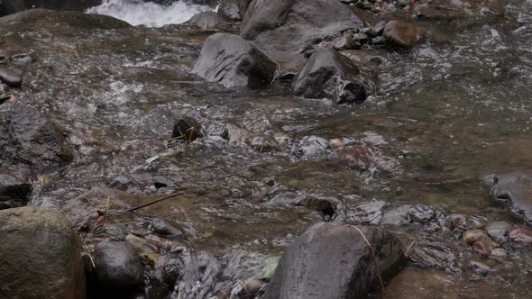Motionless perspective of a river’s graceful, slow movement, Nature ...