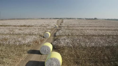 Fardos de algodón apilados almacenados después de la recolección - Emek Hefer Agriculture