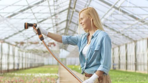 Woman Watering Plants in Commercial Greenhouse on Sunny Day