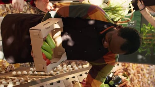 Man Adding Onions to Box of Fresh Produce