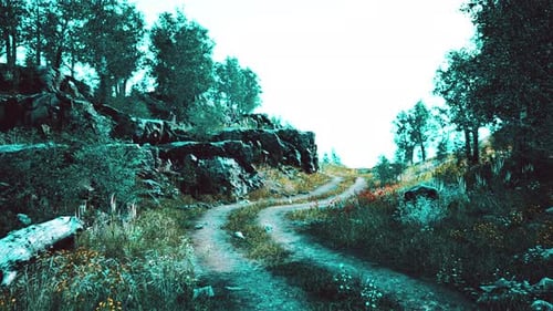 Country Road in a Deciduous Forest on a Foggy Morning