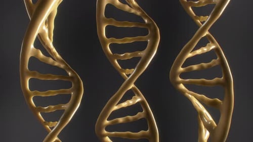 Rotating DNA Double Helix Strands Loop