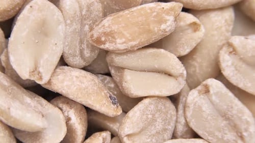 Hot Roasted Peanuts Spins Shelled Peanuts Ground Nuts