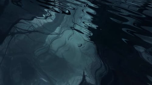 Scary Water Surface, Dark Forest Reflection, Unique Design, Exclusive, Elegant Background