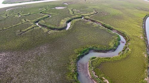 Meandering Tidal Creek Snakes through Marshland