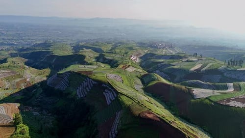 random patterns of vegetable plantations on the hills.