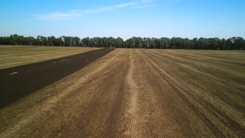 Tractors plowing the field in Ukraine