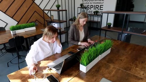 Séance de travail ciblée dans un espace de coworking moderne avec deux personnes utilisant des ordinateurs portables