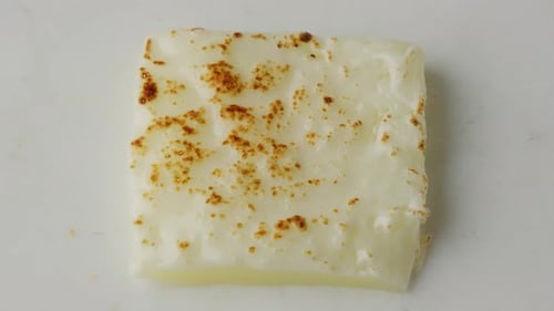 Tranche de mozzarella brûlée