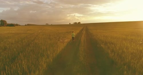 Sporty Child Runs Through a Green Wheat Field Evening Sport Training Exercises at Rural Meadow A
