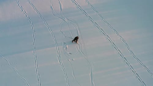 Cinematic aerial view of person ice skate on frozen lake during winter sunset