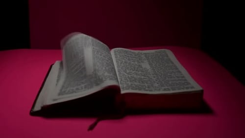 Pages Turning in Open Book on Pink Surface