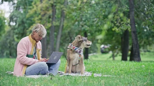 Woman Working on Laptop while Sitting Next to Dog in City Park