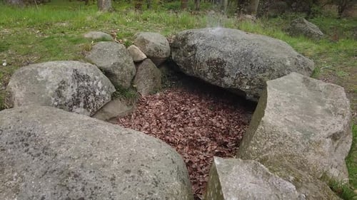 Ancient stone burial ground in forest landscape