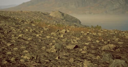 Stones and Serenity on a Remote Shoreline of a Peaceful Lake